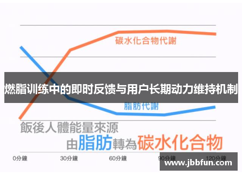 燃脂训练中的即时反馈与用户长期动力维持机制